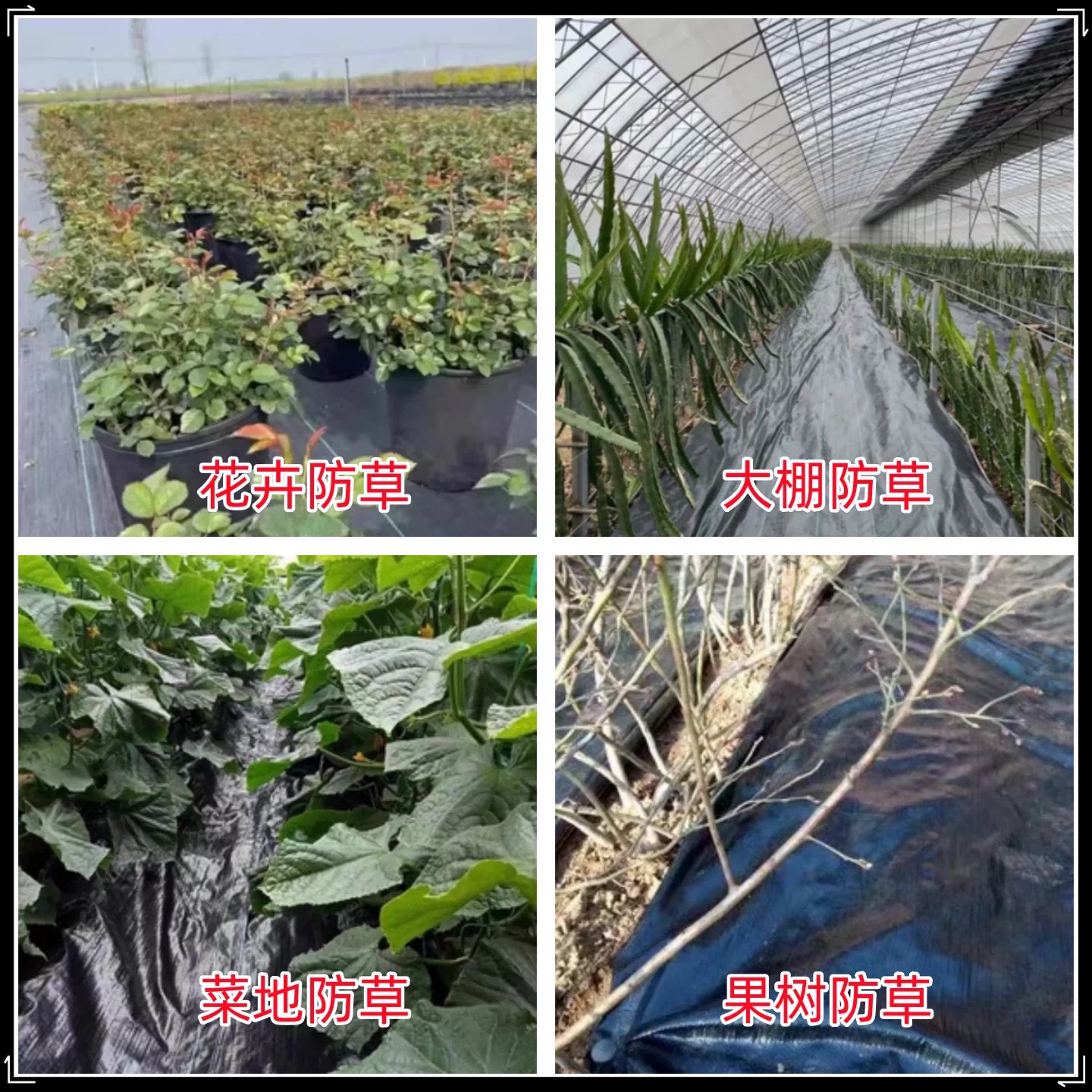 芜湖市工程膜防草布 - 厂家